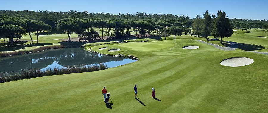 Golf Approach X10